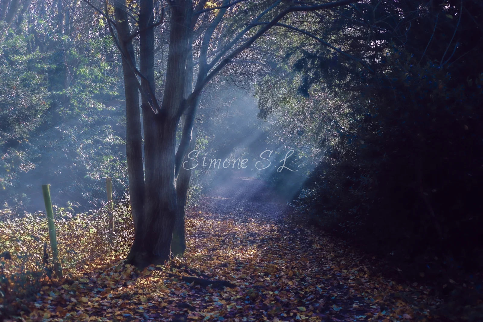Nature 24 (photo) - 14