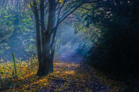 Nature 24 (photo) - 15