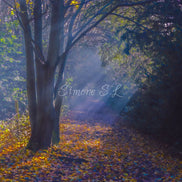 Nature 24 (photo) - 4