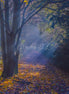 Nature 24 (photo) - 4