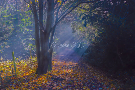 Nature 24 (photo) - 4
