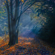 Nature 24 (photo) - 5