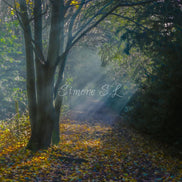 Nature 24 (photo) - 8