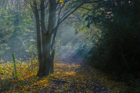 Nature 24 (photo) - 8