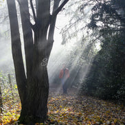 Nature 26 (photo) - 1