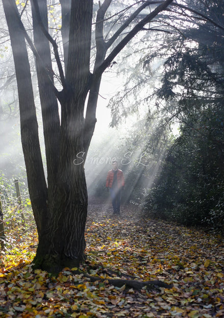Nature 26 (photo) - 1