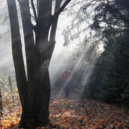 Nature 26 (photo) - 2