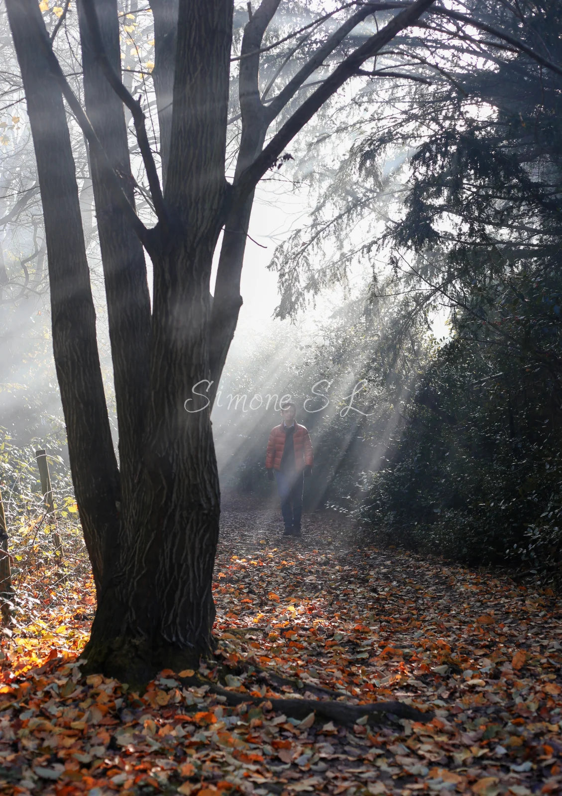 Nature 26 (photo) - 2