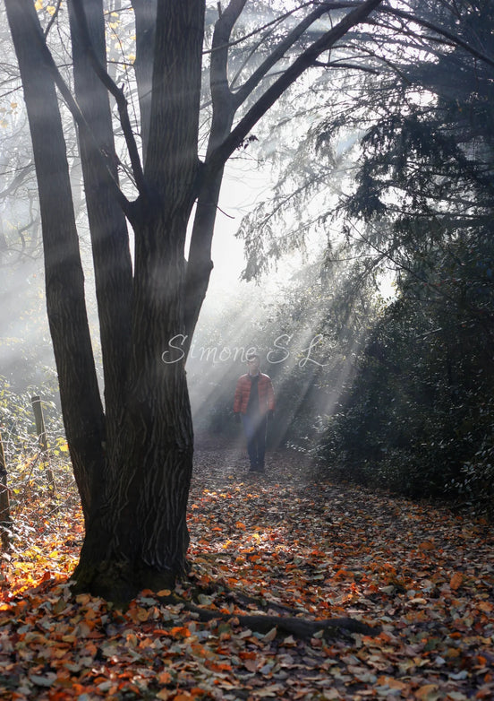 Nature 26 (photo) - 2