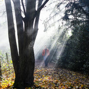 Nature 26 (photo) - 3
