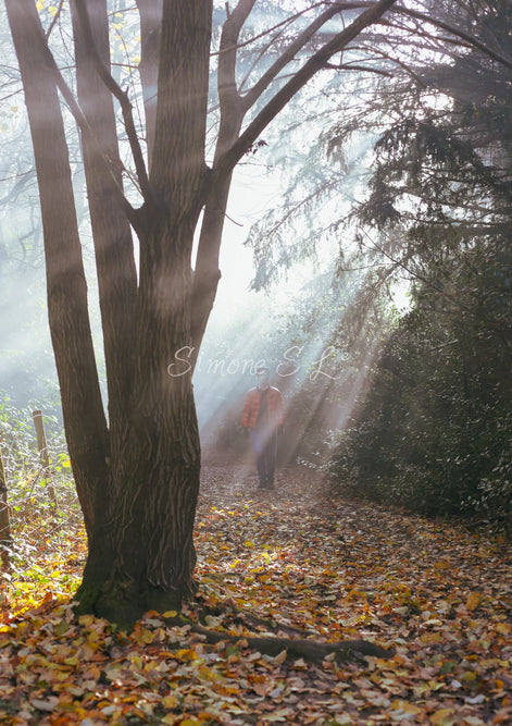 Nature 26 (photo) - 4