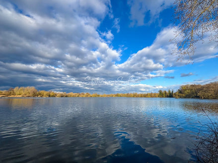 Nature 4 (photo)