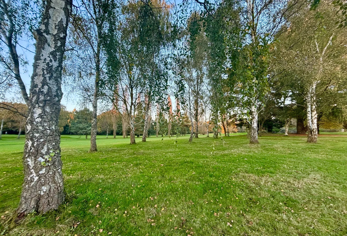 Nature 5 (photo)