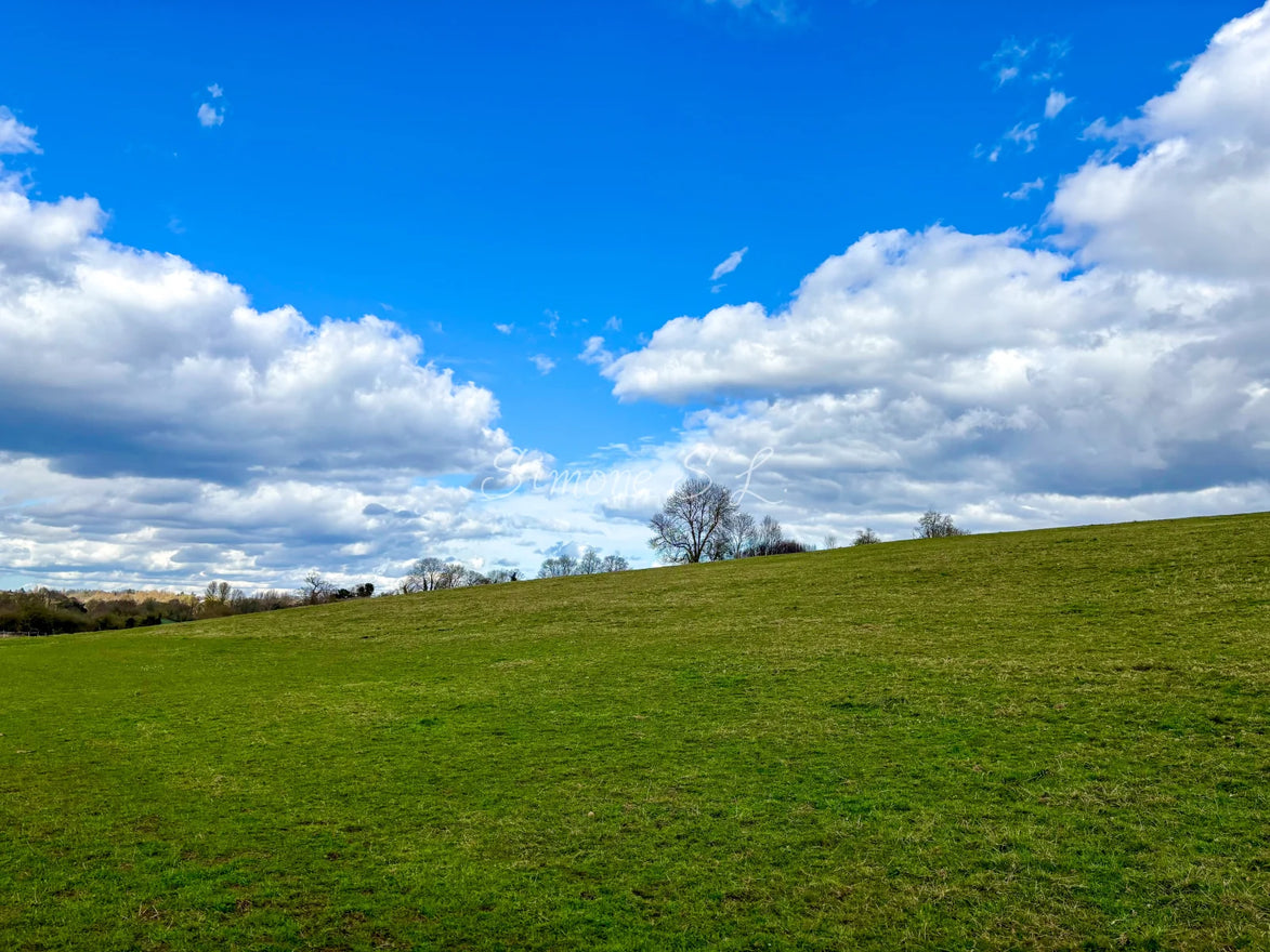 Nature 6 (photo)