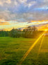 Nature 7 (photo)