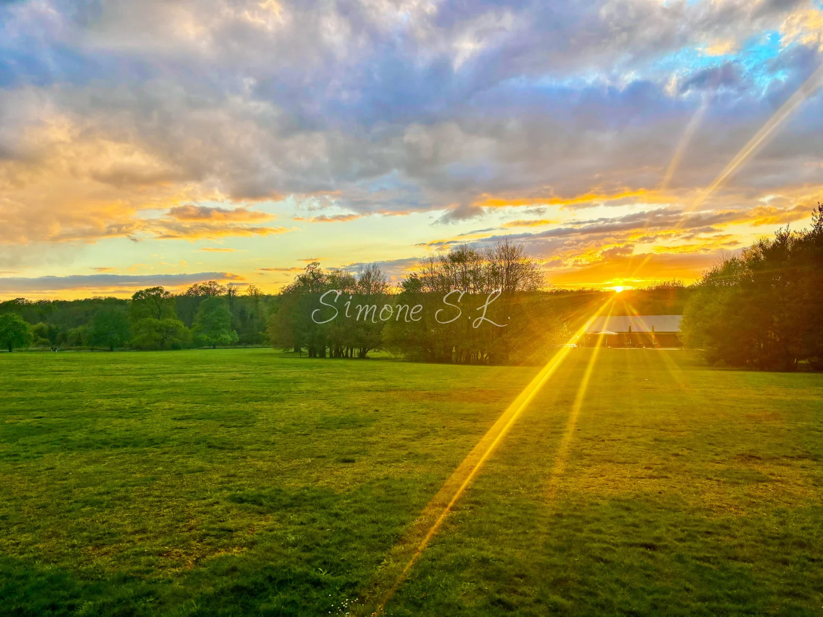 Nature 7 (photo)