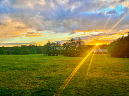 Nature 7 (photo)