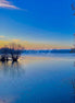 Nature (photo)