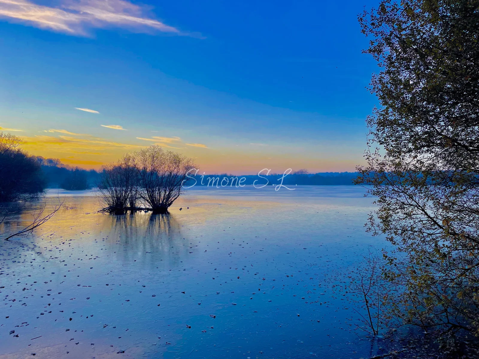 Nature (photo)