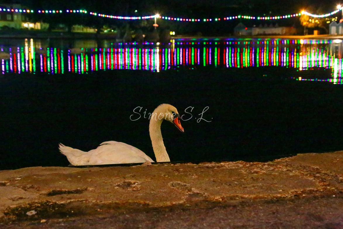 Night Swim 2 (photo)