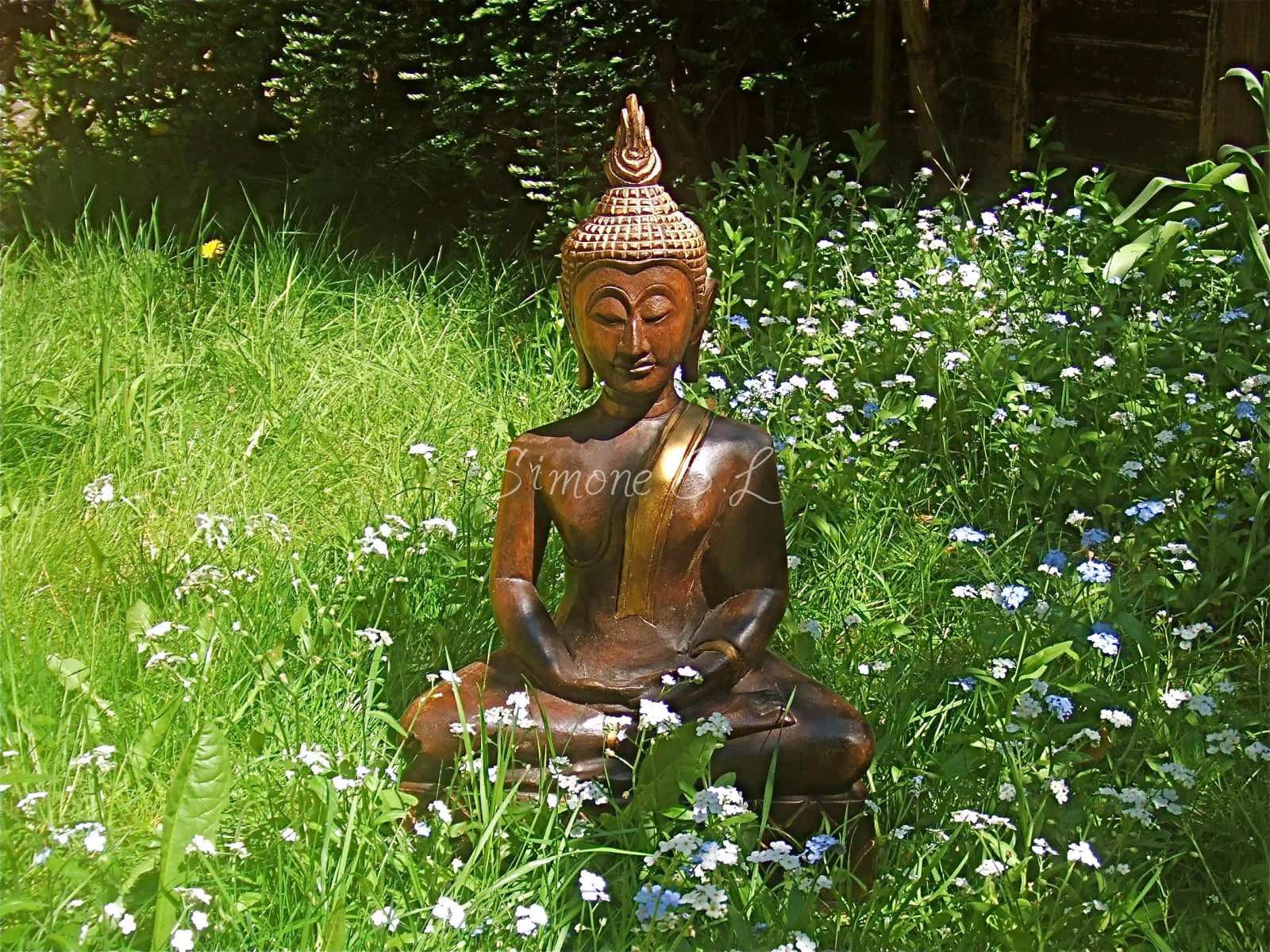 Peace & Harmony (photo)