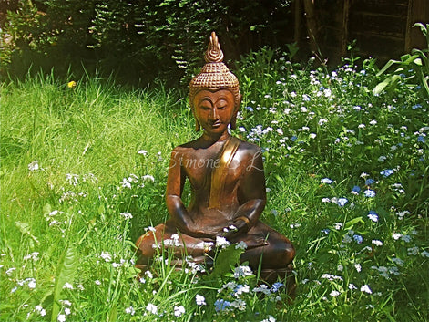Peace & Harmony (photo)