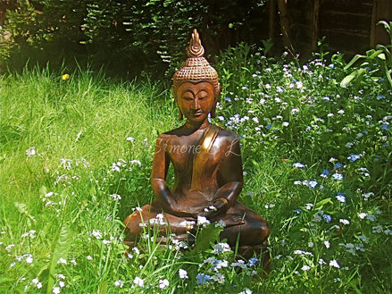 Peace & Harmony (photo)