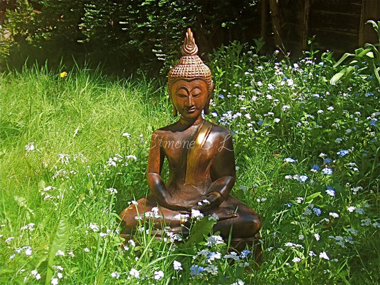 Peace & Harmony (photo)