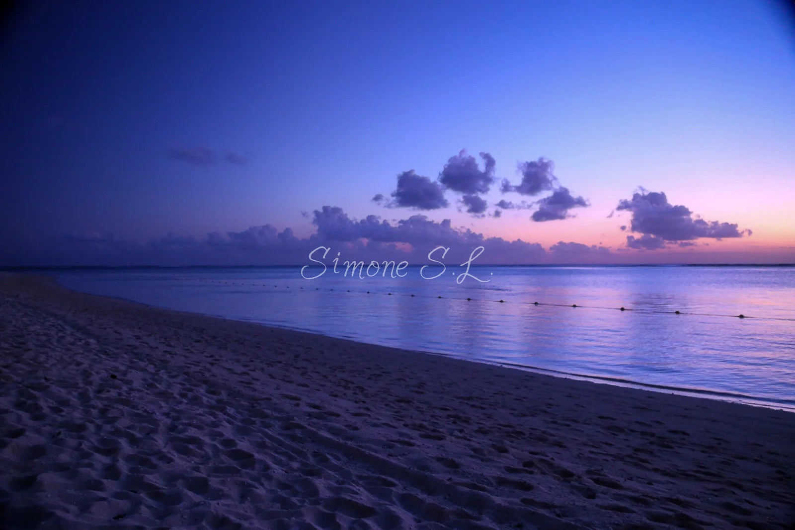 Purple Dream (photo)