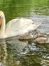 Single Parent With 4 Children (photo)