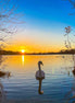 Sunset Swan (photo)
